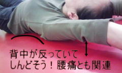 Ђ΂肪u̐́{̃RfBVjǑELw̐̑̕O